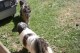 Thumbs/tn_Bild 042.jpg